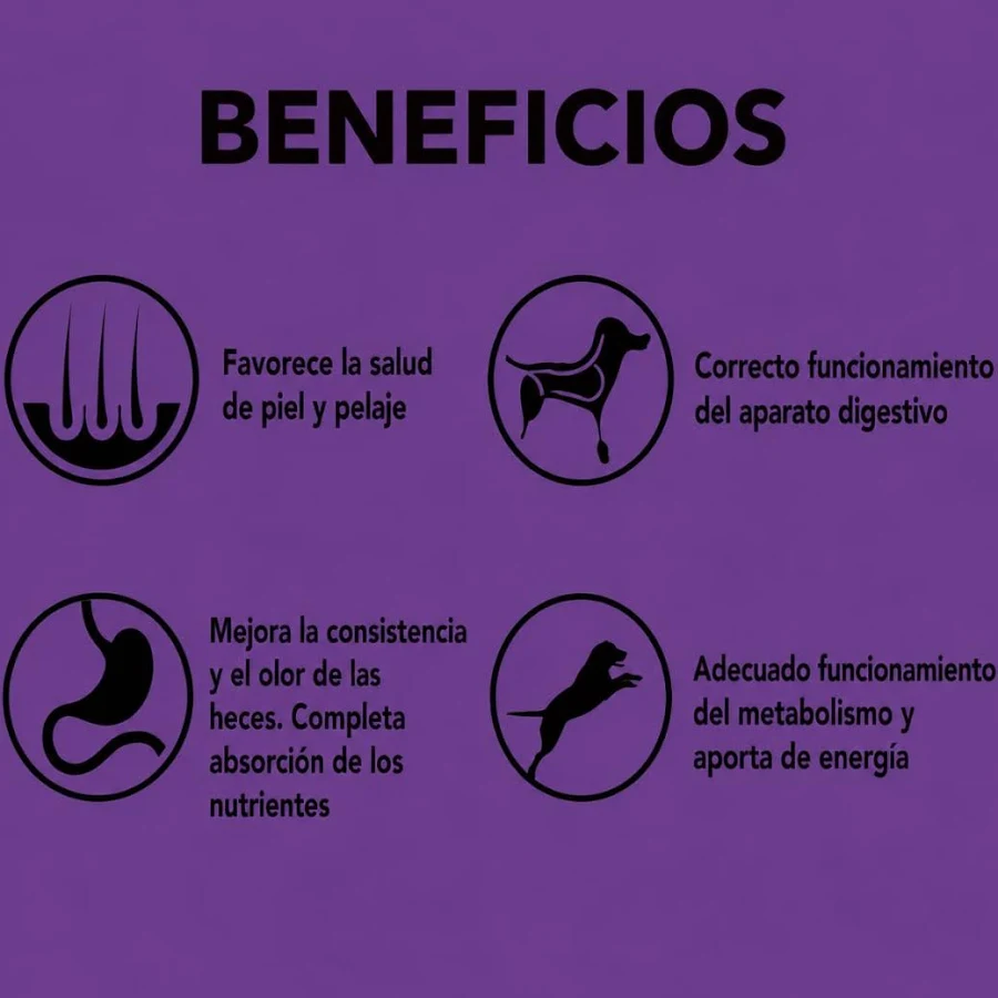 Agility Gold Pequeños Adultos_a.webp