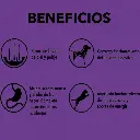 Agility Gold Pequeños Adultos_a.webp
