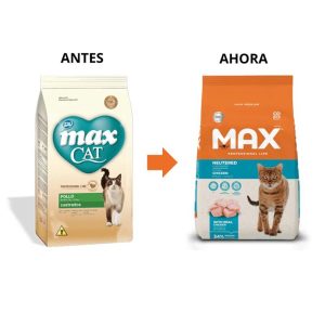 MAX CAT GATOS CASTRADOS