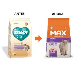 MAX CAT GATITOS